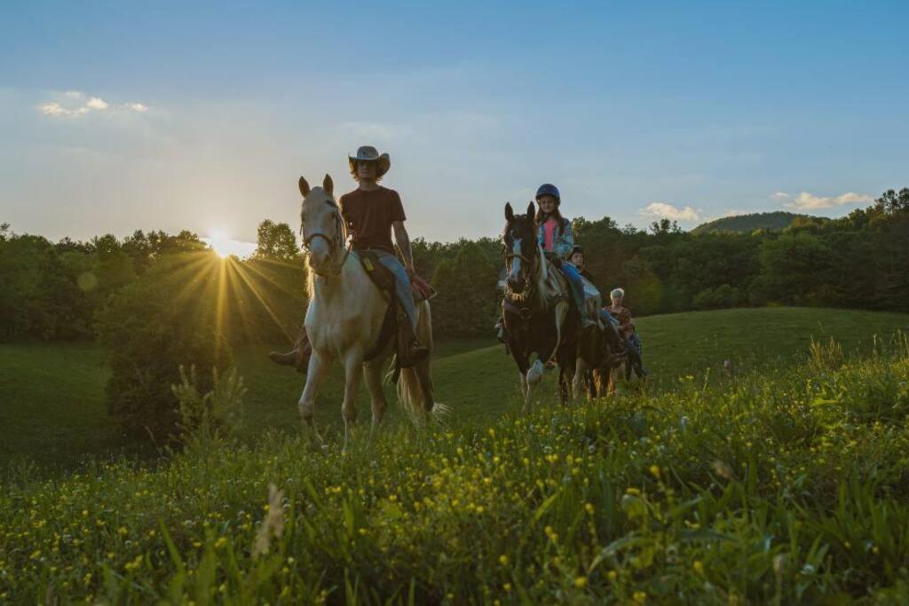 Cherry Log Summit Cabin By Bk Stays - Family Friendly - Playground - Game Room - Jacuzzi - Amazing Mountain Views ภายนอก รูปภาพ
